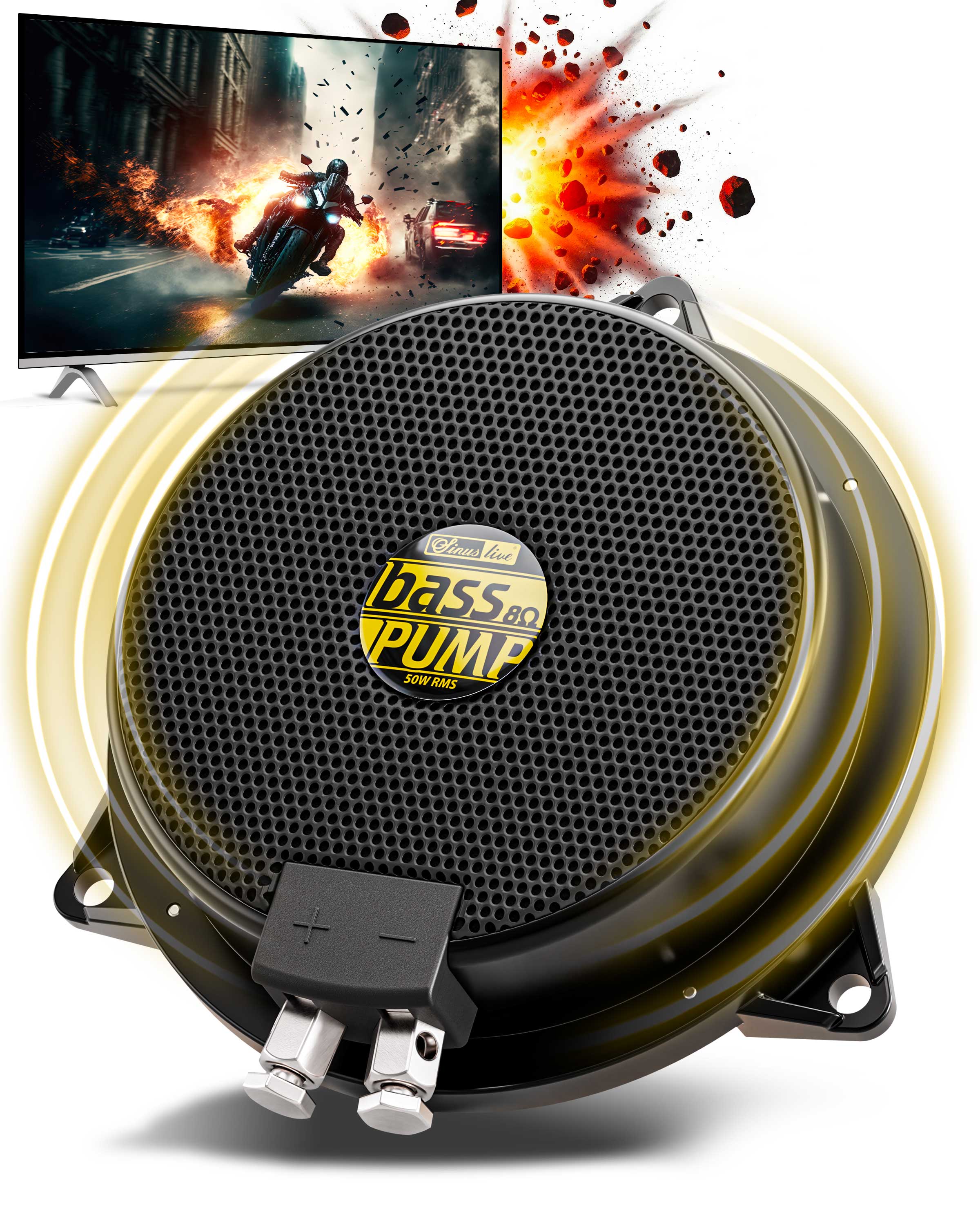 Sinuslive bassPUMP 8 Ohm