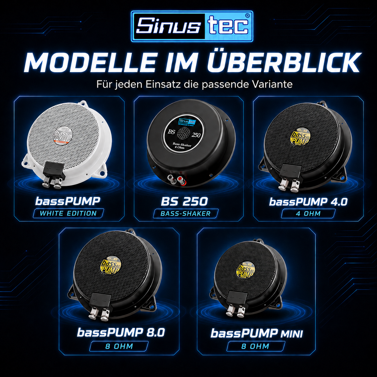Sinustec BS250 bassPUMP 4Ohm